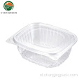 Groothandel wegwerp plastic verse bosbessen saladecontainer